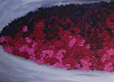 Schilderij op doek Variatie op een bloemenveld